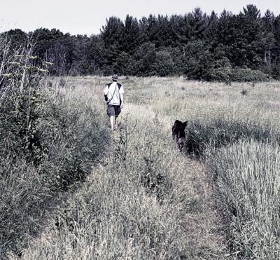 Across 78 in the marsh...