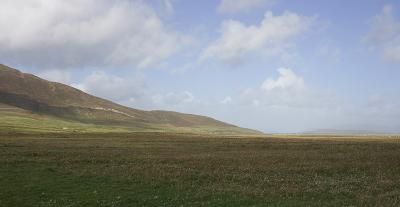 The machair