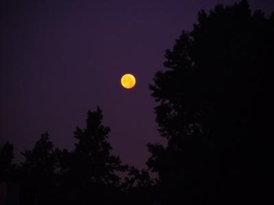 5422-sm.jpg