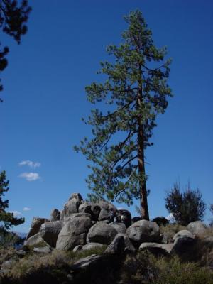 3825-sm.jpg