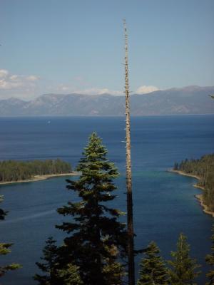 3845-sm.jpg