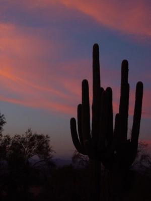 5835-sunset.jpg