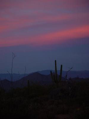 5828-sunset.jpg
