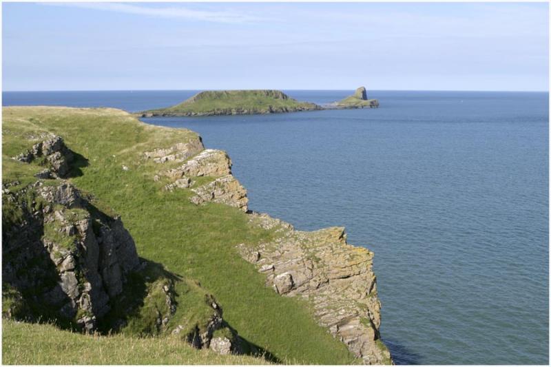 worms head