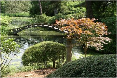 tatton park japanese garden