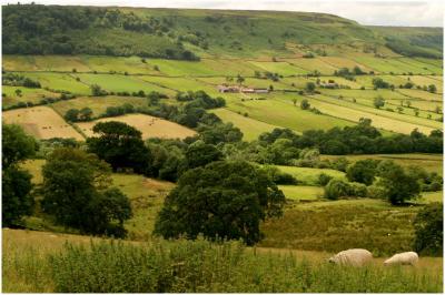 farndale