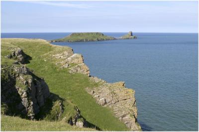 worms head