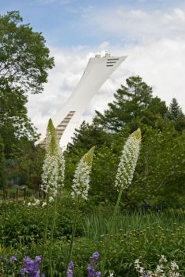 Montreal Olympic Park from Botanic Garden