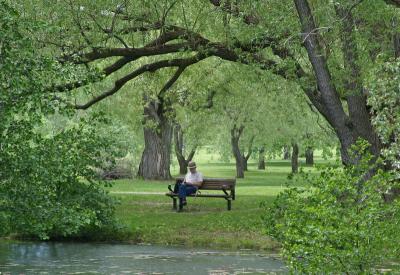 Montreal botanic garden