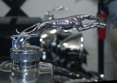 Hood Ornaments