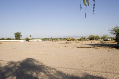 _MG_3706.jpg