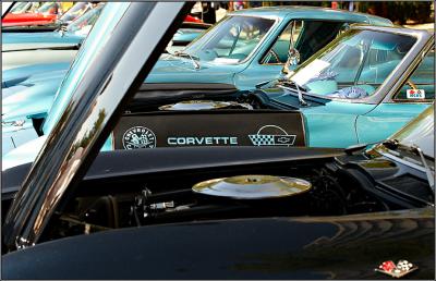 fender cover