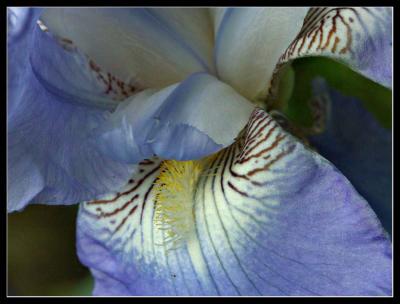 PICT0659.jpg