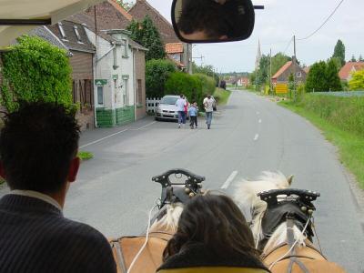 DSC04504.jpg