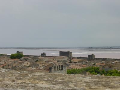 DSC04698.jpg