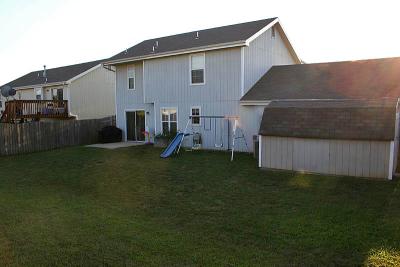 The back yard