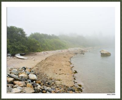Beach with Fog