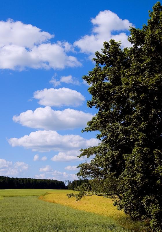 Podlasie
