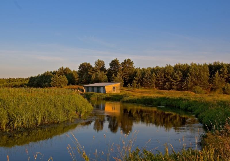 Narew River