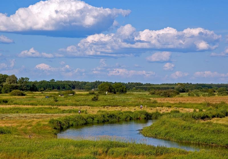 Narew River