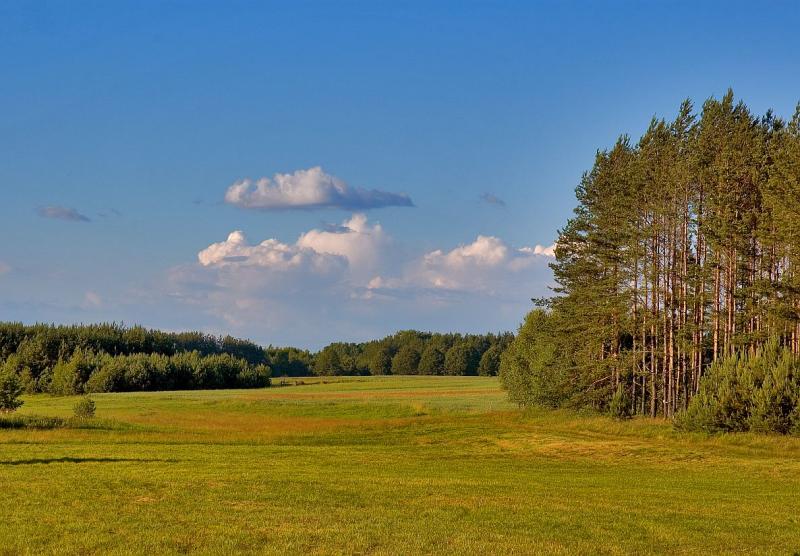 Podlasie