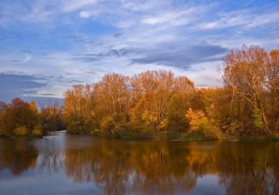 Wilanow Park