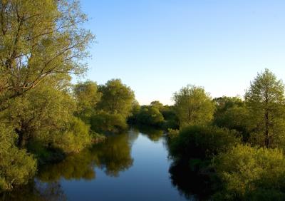 Wieprz River