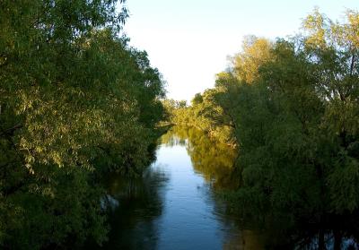 Wieprz River