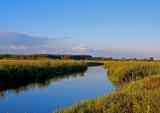 Narew River