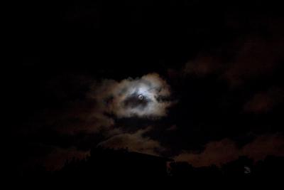IMG_5395w.jpg