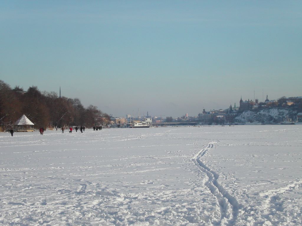 Stockholm Snow 015.jpg