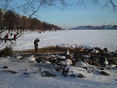 v3/56/567256/3/44975986.resizeStockholmSnow014.jpg