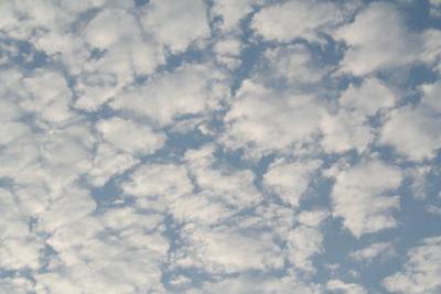 110's Favorite:Puffy Clouds