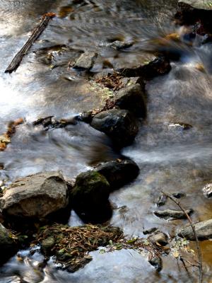River in Fall 4.jpg