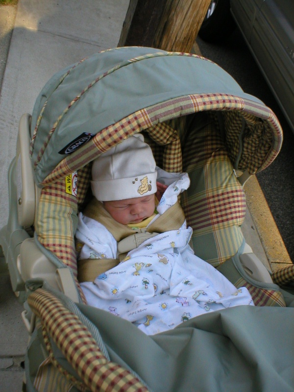 Emma in Stroller