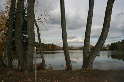 Rensselaer Lake 5