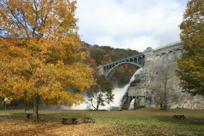 Bridge and fall colors