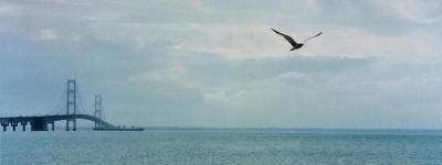 Mackinac Bridge Panorama