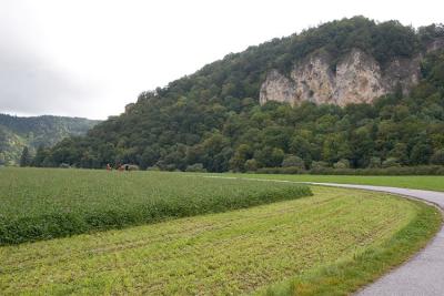 near Fridingen