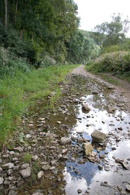 Between Immendingen and Möhringen, the Danube runs dry