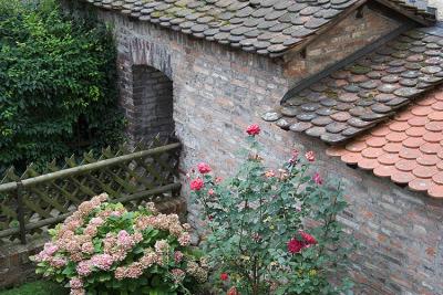 Backyard view from ramparts, Ulm
