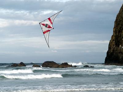 DSC_1901-800-12.jpg