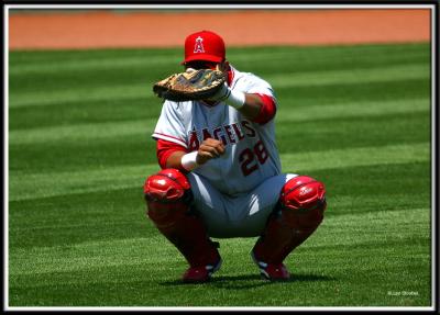 sox-2140.jpg