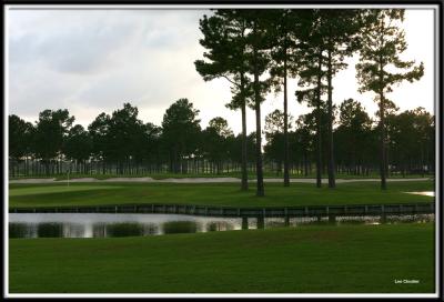 golf_2252.jpg