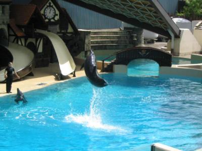 Marineland.jpg