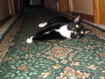 Picture2 009.jpg