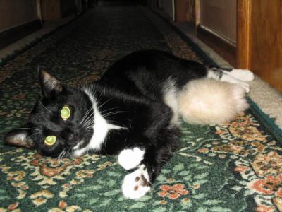 Picture2 011.jpg