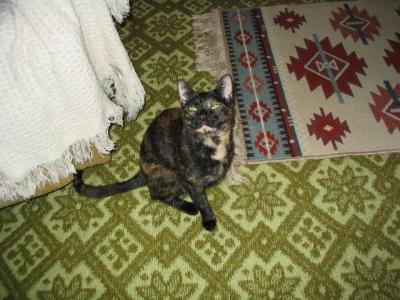Picture2 003.jpg