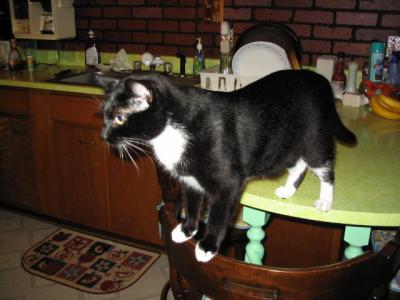 Picture2 010.jpg