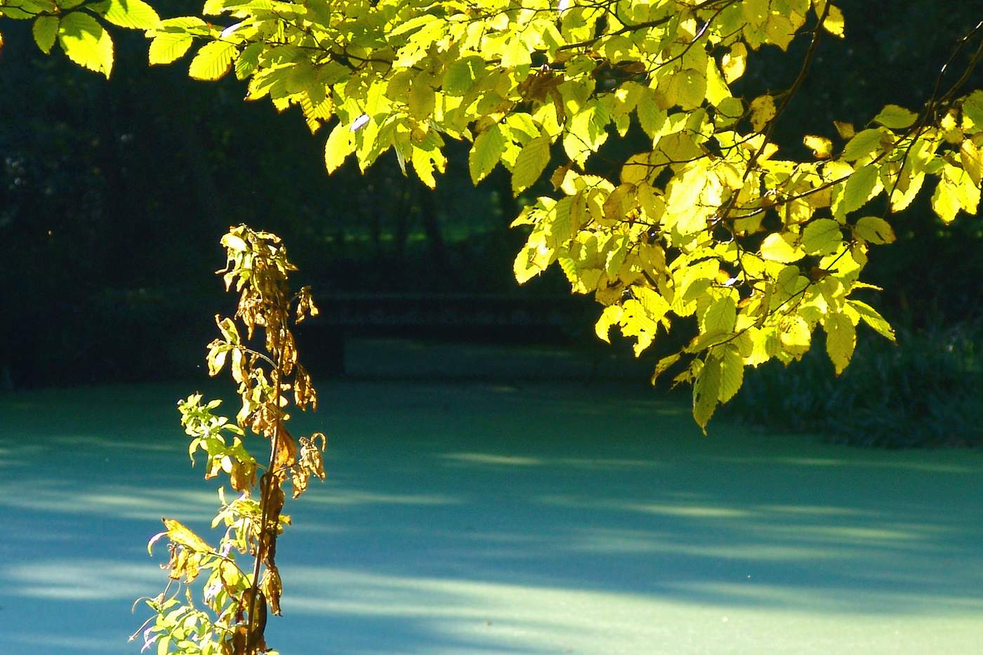 Light and shadows